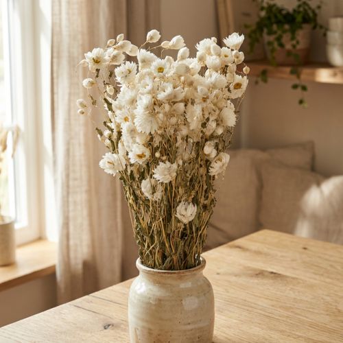 Kamille Tørkede blomster Dekorasjon Blomster Hvit bunt 65cm 50g | Floristik24.no