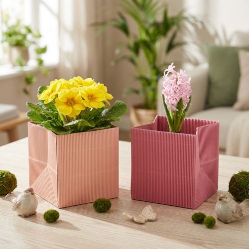 Blomsterplanter blomsterpose rosa laks 12cmx12cm 6 stk | Floristik24.no