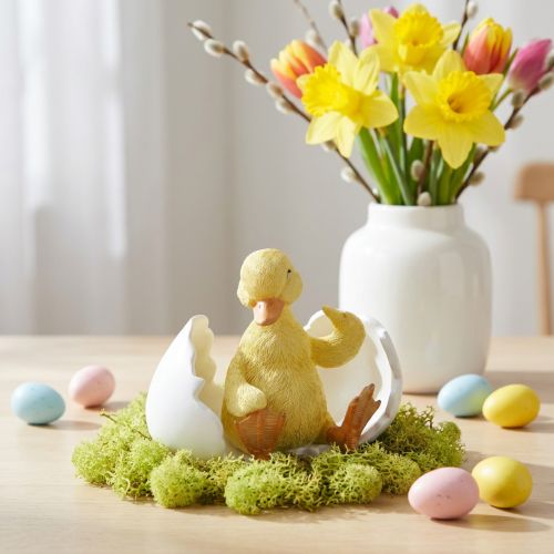Klekket kylling, andefigur, andunge i egg H10cm B12,5cm | Floristik24.no
