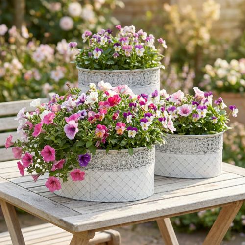 Planteskål, metallbeholder med blondemønster, oval dekorativ potte, hvit og sølv, shabby chic, L41,5/35/29,5 cm H19/16/14,5 cm, sett med 3 | Floristik24.no