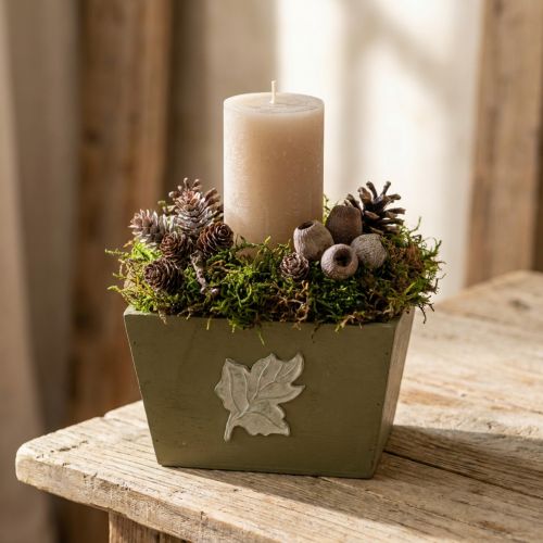 Treblomsterkasse, shabby chic-stil, grønn, 11 × 14,5 × 14 cm | Floristik24.no