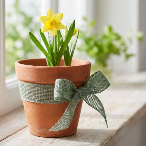 gjenstander Jutebånd, nettbånd, dekorativt bånd, jute, grønn salvie, 5 cm bredt, 40 m langt