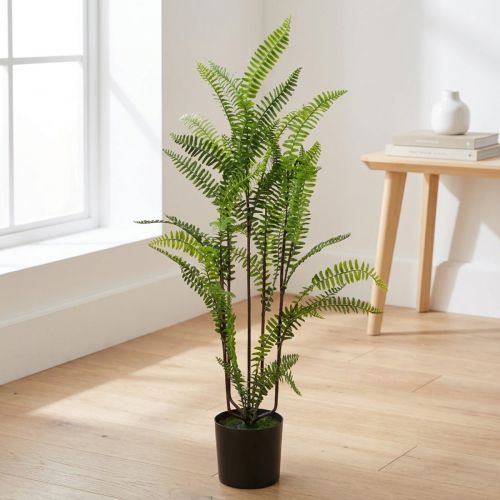 Fern i pottegrønn 80cm | Floristik24.no