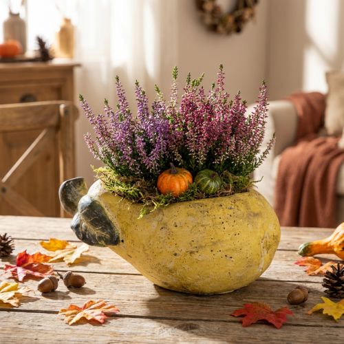 Dekorativ pæreformet blomsterkasse, høstblomsterpotte, betong, 25 × 13 × 11 cm | Floristik24.no