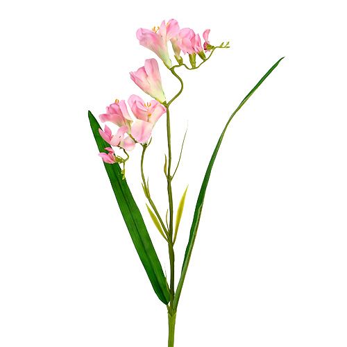 Floristik24 Freesia 56cm rosa 4stk
