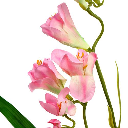Floristik24 Freesia 56cm rosa 4stk