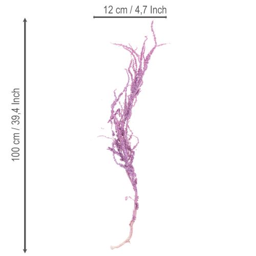 gjenstander Tørkede blomster av revehale, farget, for moderne hjemmedekorasjon, 100 cm, 5 stk.