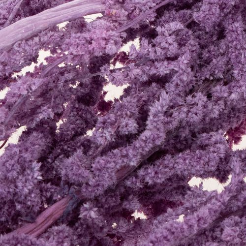 gjenstander Tørkede blomster av revehale, farget, for moderne hjemmedekorasjon, 100 cm, 5 stk.