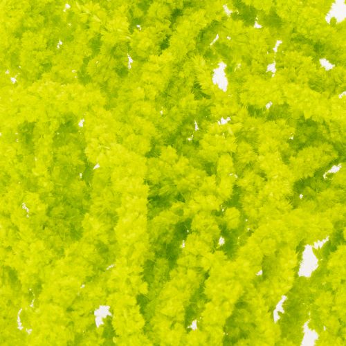 gjenstander Revehale tørkede blomster, farget, for spesiell hjemmedekorasjon og unike detaljer, 100 cm, 5 stk.