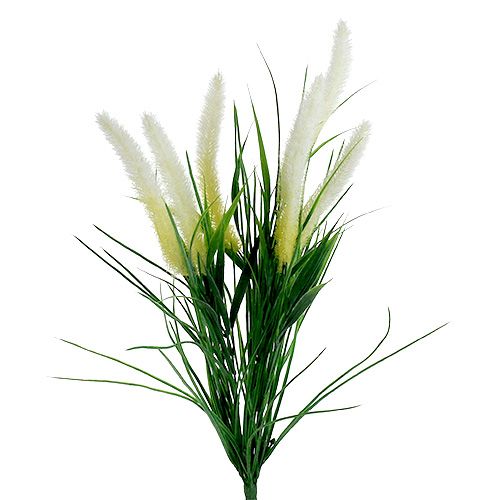 Foxtail gressgrønn, hvit 63cm
