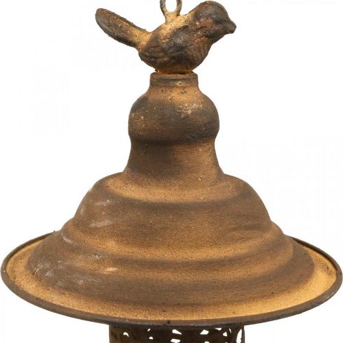 Floristik24 Fuglefôringsstasjon til å henge i rustlook Ø20cm H36cm