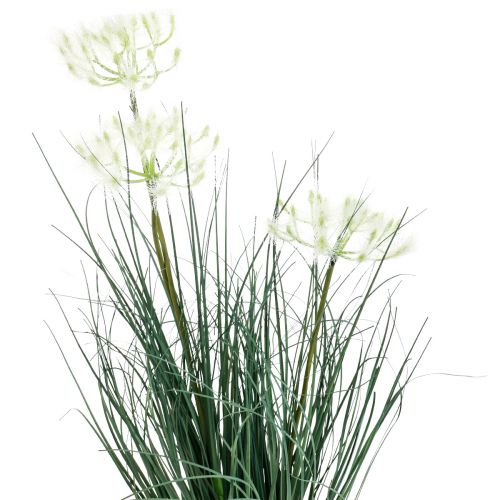 Floristik24 Bulrush Grass Kunstig Blomst Kunstige blomster i potte 56cm