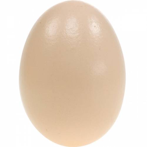Floristik24 Gåseegg Kremblåste egg Påskepynt 12 stk