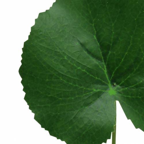 Floristik24 Bronseplate Galax kunstgrønn Ø9cm H30cm 12stk