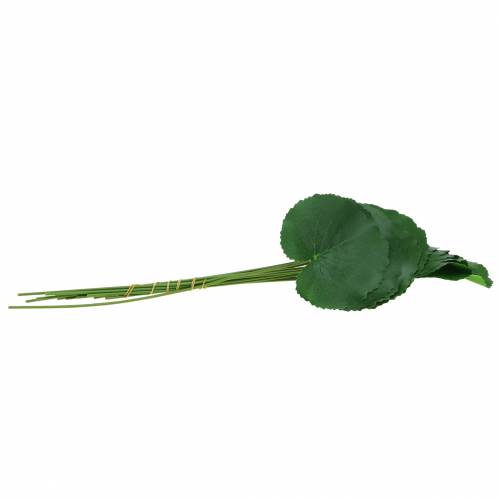 Floristik24 Bronseplate Galax kunstgrønn Ø9cm H30cm 12stk