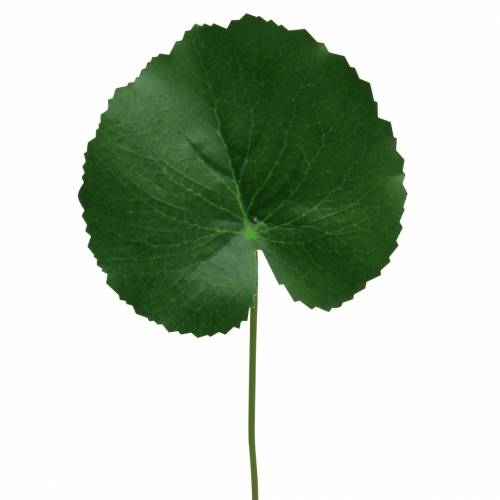 Floristik24 Bronseplate Galax kunstgrønn Ø9cm H30cm 12stk