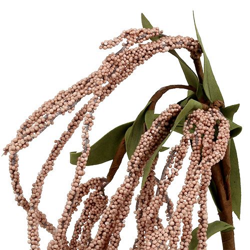 Floristik24 Hagerevehale 95cm