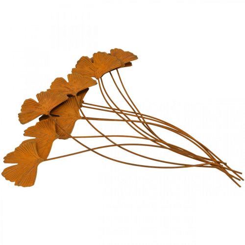 Floristik24 Hage stake rust gingko blad bed stake 7x5cm 6stk