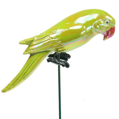Floristik24 Hageplugg papegøye gul 16cm