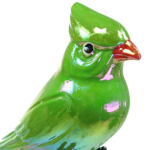 Floristik24 Hageplugg papegøye grønn 16cm