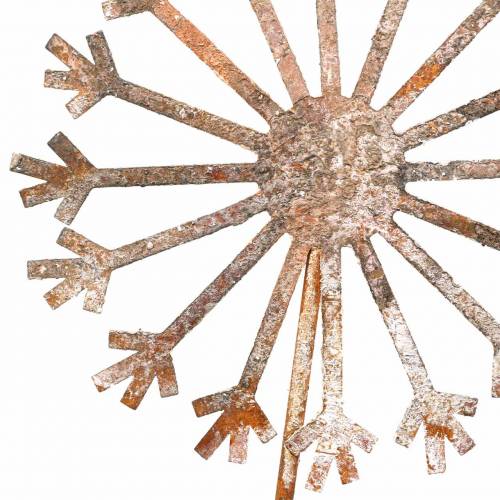 Floristik24 Hageplugg løvetann patina metall Ø18 H88cm