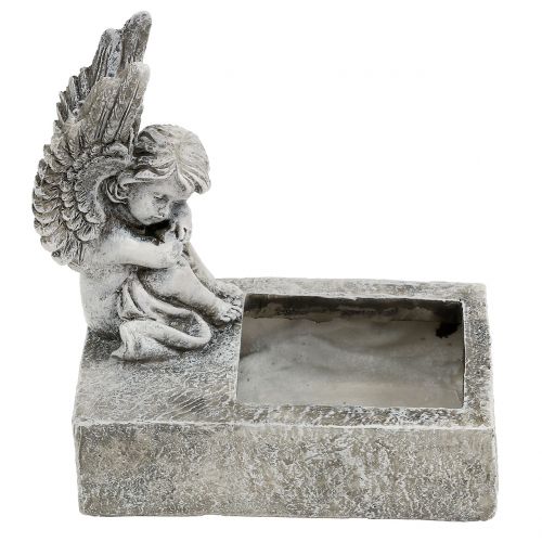 Floristik24 Plantekasse med englegrå 17cm