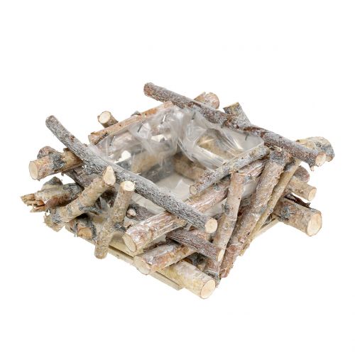 Floristik24 Birkegrener hvitvasket 23cm x 23cm H10cm