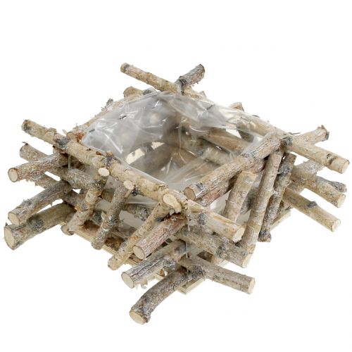 Floristik24 Birkegrener hvitvasket 28cm x 28cm H10cm