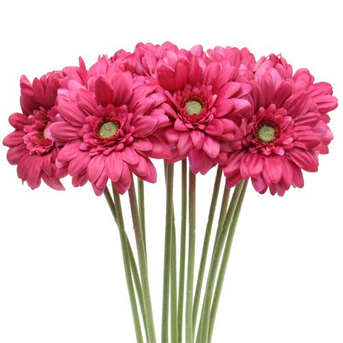 Floristik24 Gerbera Rosa 48cm 12stk