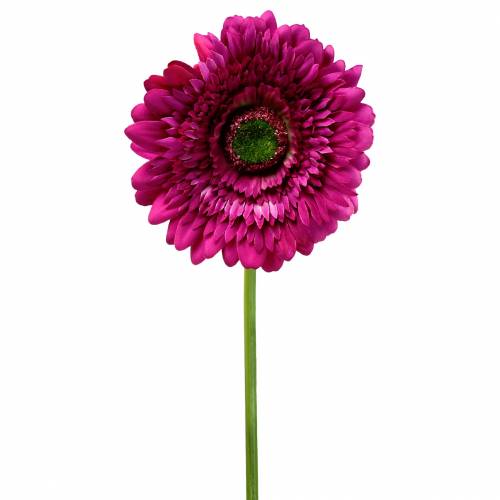 Floristik24 Gerbera kunstig lilla 62cm 6stk
