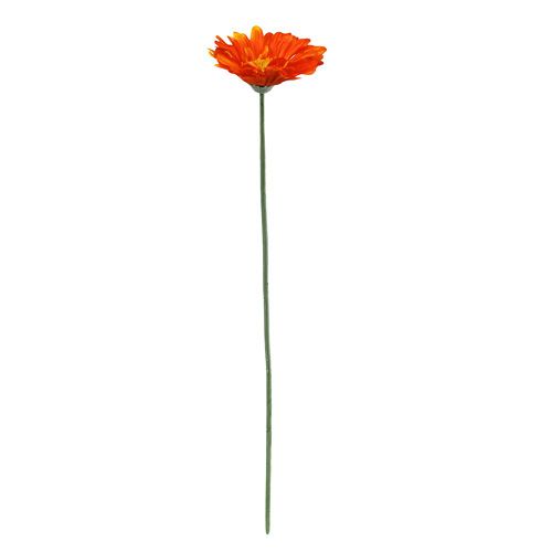 Floristik24 Gerbera Orange Ø10cm L55cm 6stk
