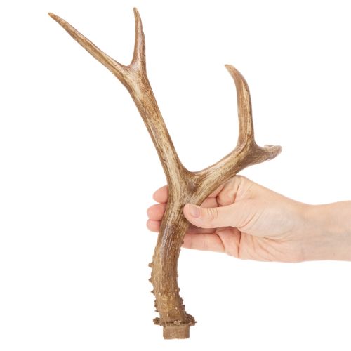 Kunstige gevir, naturtro, rustikke, 32 cm | Floristik24.no