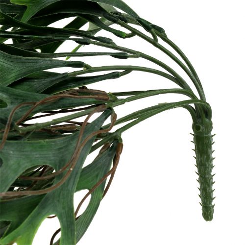 Floristik24 Gevir bregnebusk hengende 84cm