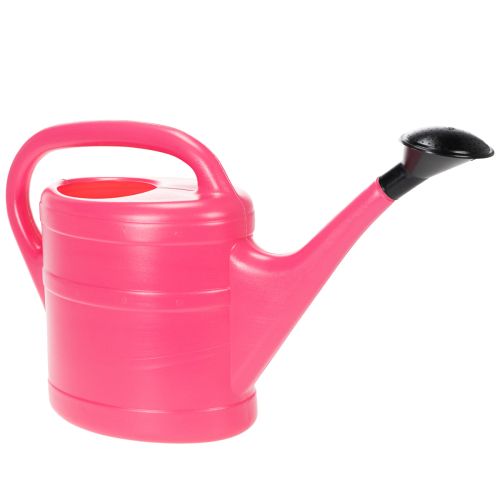 Floristik24 Rosa vannkanne, 5 l
