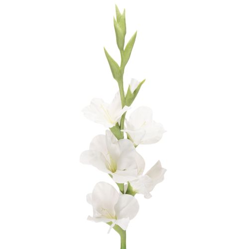 Kunstig gladiolus, lang stilk, til vaser, 88 cm kjøpe | Floristik24.no
