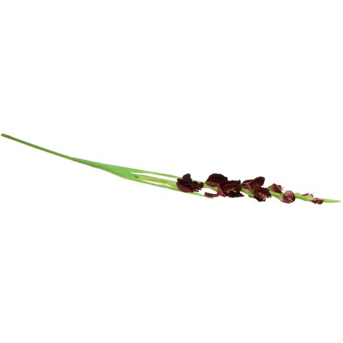 Floristik24 Gladiolus Real-Touch Bordeaux 93cm