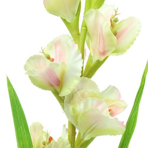 gjenstander Gladiolus hvit 93cm