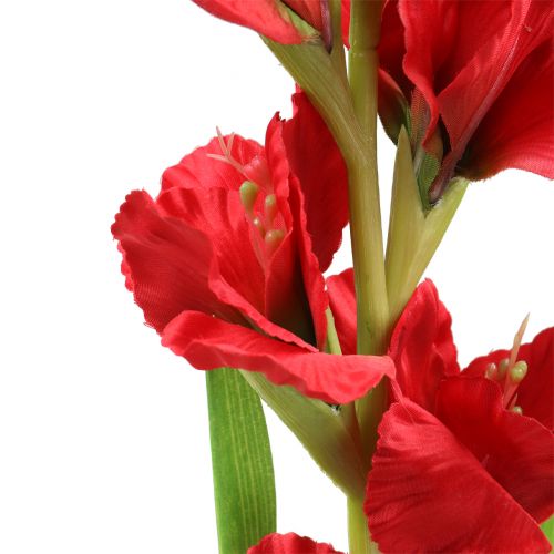 gjenstander Gladiolus Rød 93cm