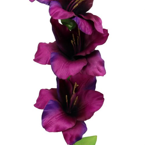 gjenstander Gladiolus mørk lilla 86cm