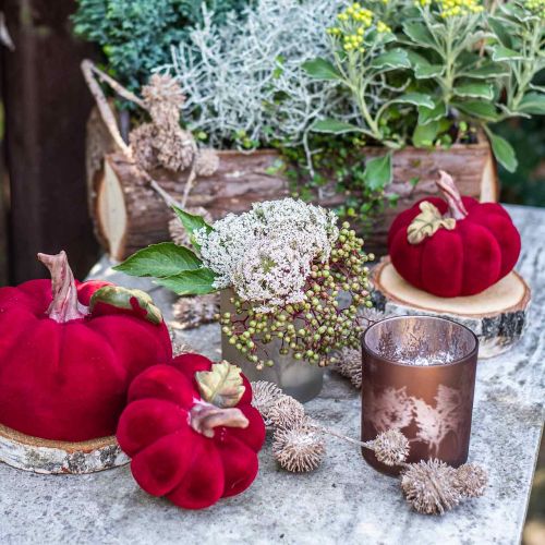 Floristik24 Glasslykt, telysglass med bladmotiv, høstdekor Ø8cm H9cm 2stk