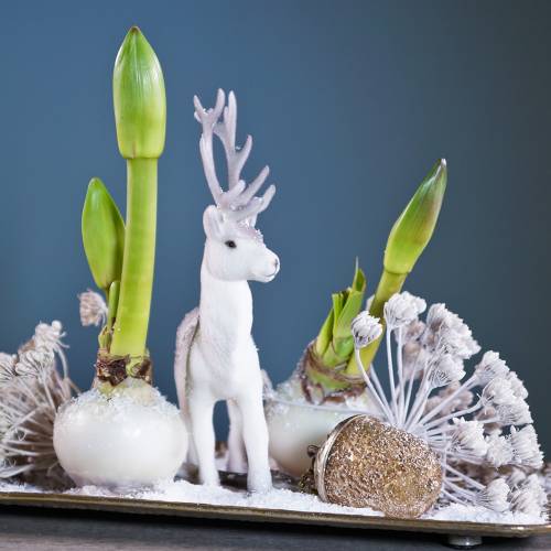 Floristik24 Juletrepynt eikenøtt for å henge metallglass gull 7cm 4stk