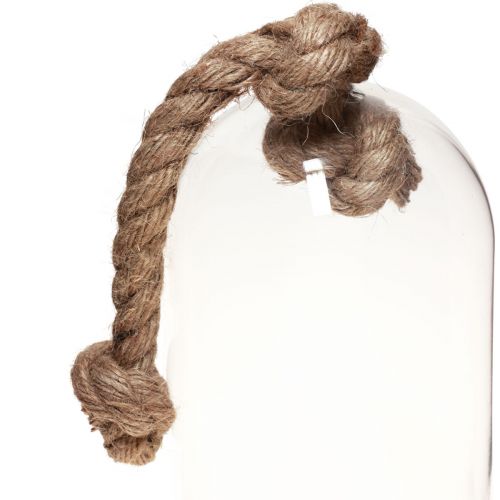 Floristik24 Glassklokkedekor med betonglook base Ø13,5cm H24cm