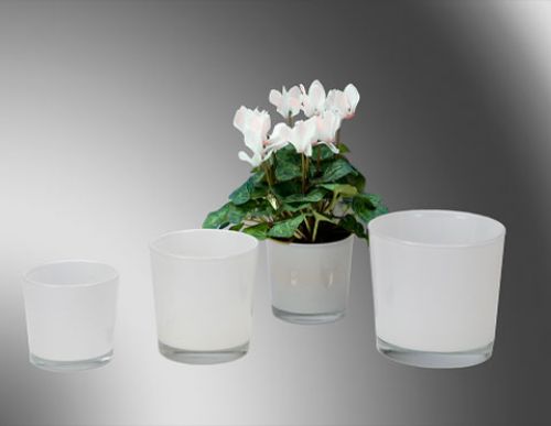 Floristik24 Hvit glassbøtte