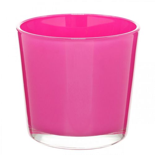 Floristik24 Glassbalje, plantekasse rosa Ø11,5cm H11cm