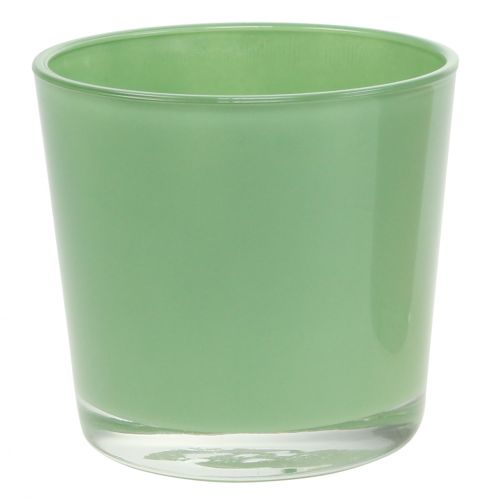 Floristik24 Glasspotte Ø11,5cm H10,8cm mintgrønn