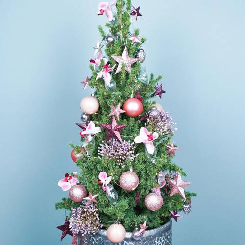 Floristik24 Glassvase med klipsblomst Ø3,3cm H8,5cm klar 4stk