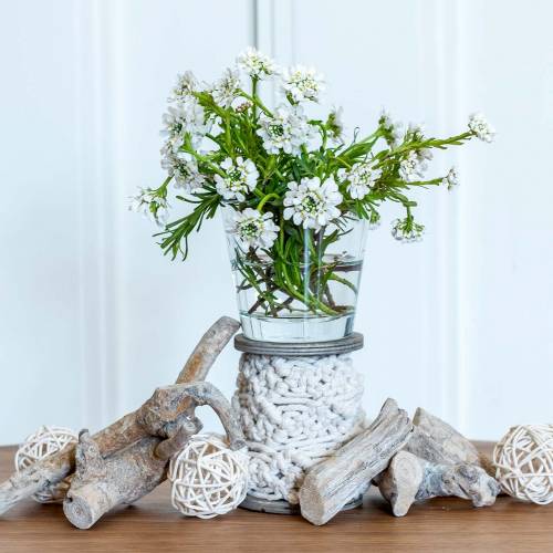 Floristik24 Glassvase klar Ø8,5cm H8cm 6stk