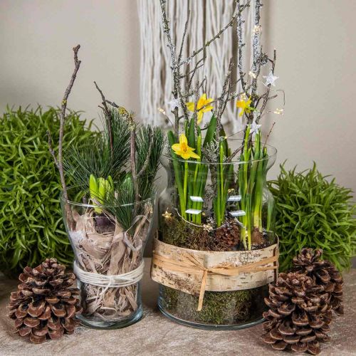 Floristik24 Glassvase klar dekorativ vase glass lykt blomstervase Ø18cm H25cm