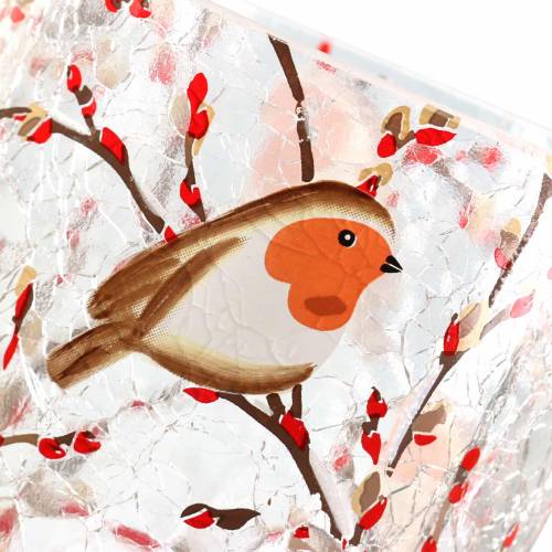 Floristik24 Lantern Robin Crackle Klar Ø9cm H10cm