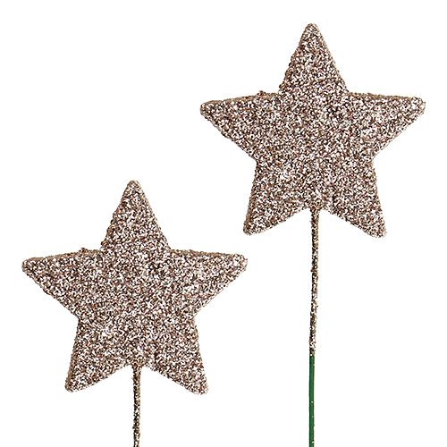 Floristik24 Glitterstjerne på wire champagne 5cm 48stk